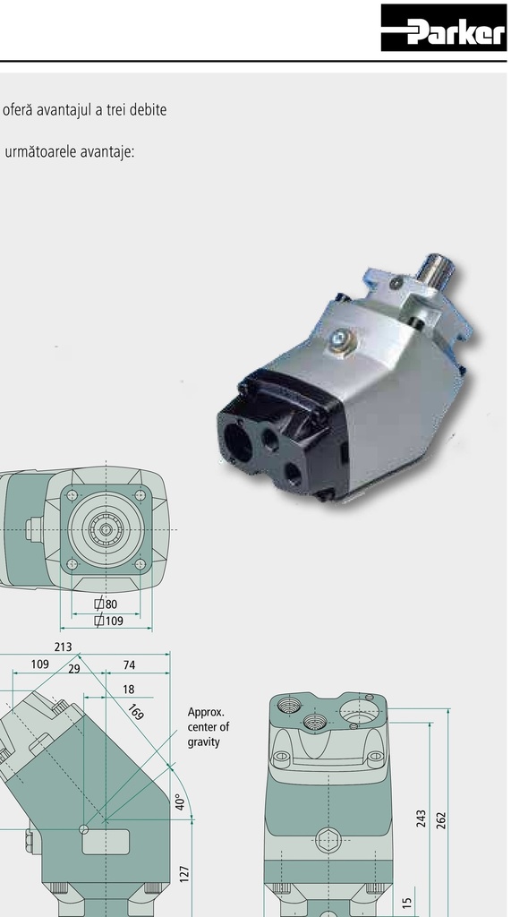 Parker Pompă cu piston si dublu circuit F2-53 / 53-R Einkreispumpe