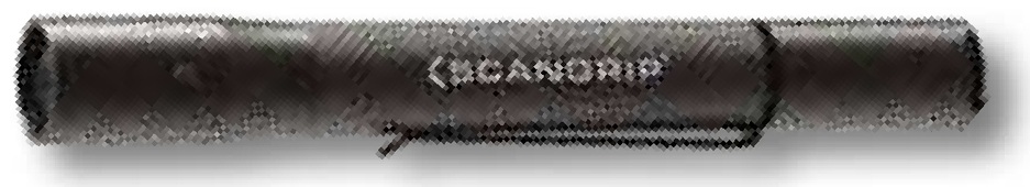 SCANGRIP Lanterna cu LED, Flash Ø 24 x 169 mm