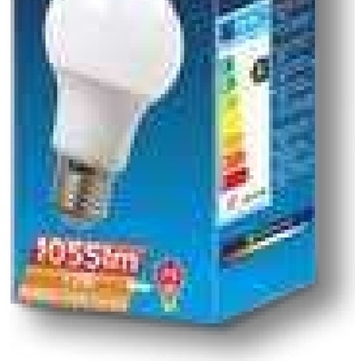 LED Leuchtmittel 12W E27