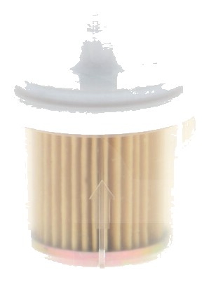 Filtru carburant - 60 Micron