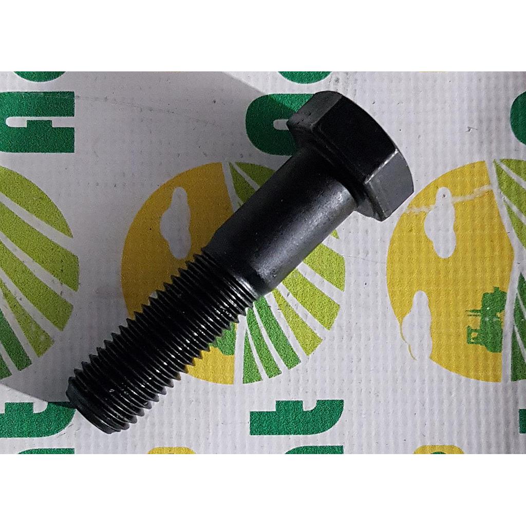 Surub cap Hexagonal  M24x100mm