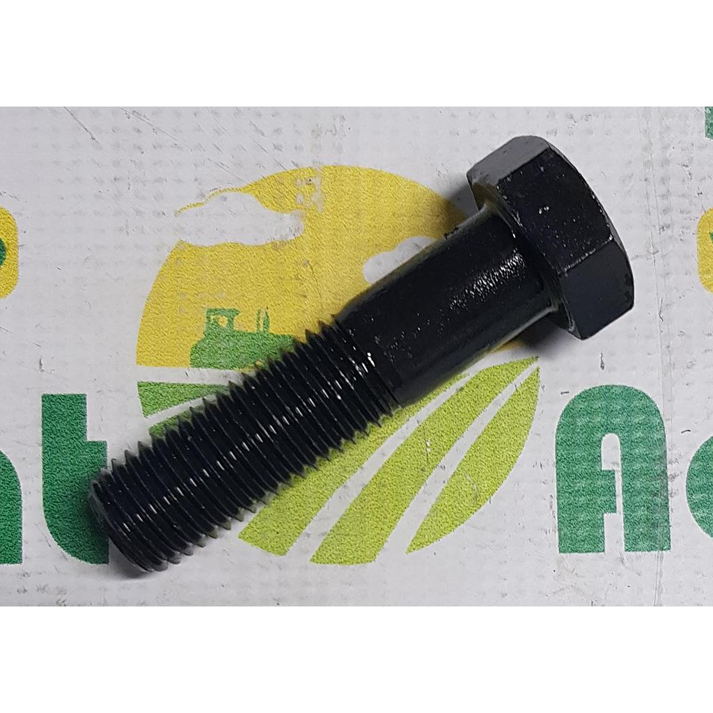Surub Cap Hexagonal M20x80mm