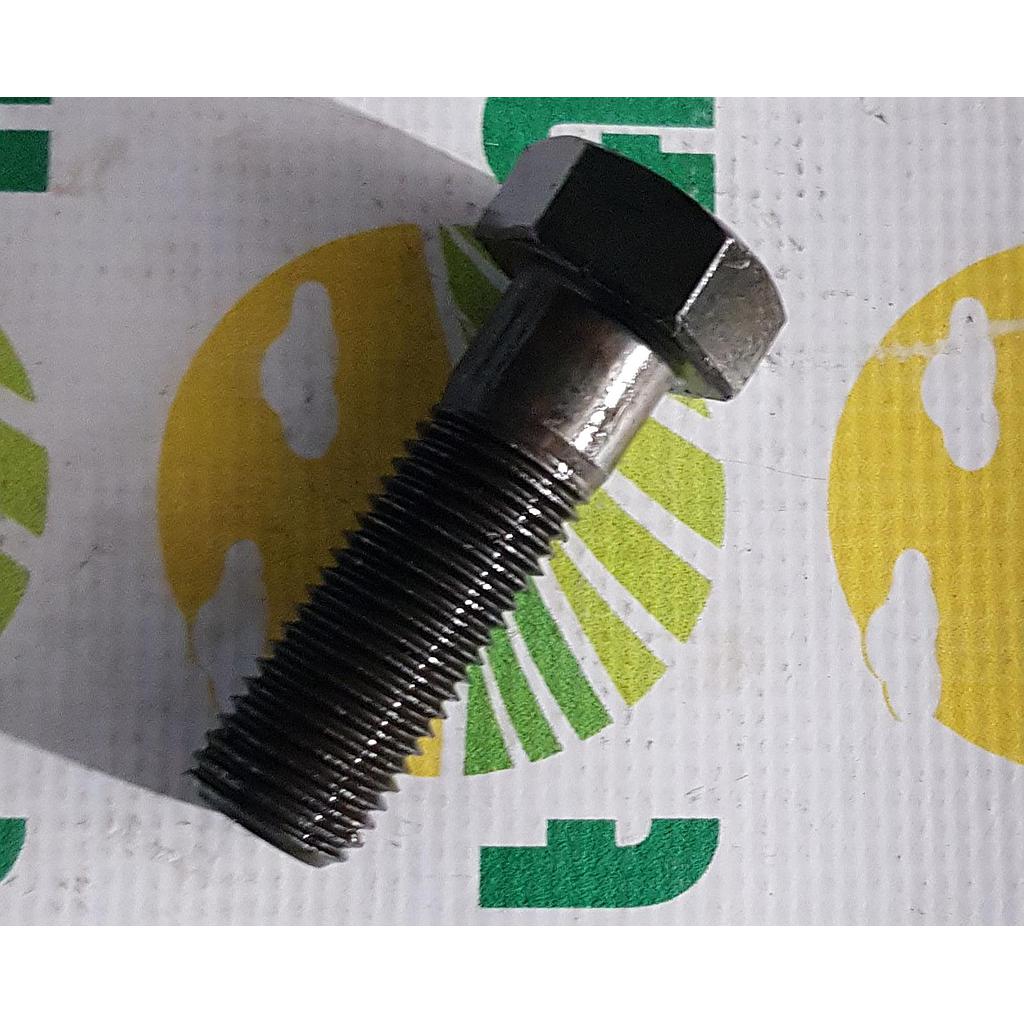 Surub Cap Hexagonal  M22x70mm