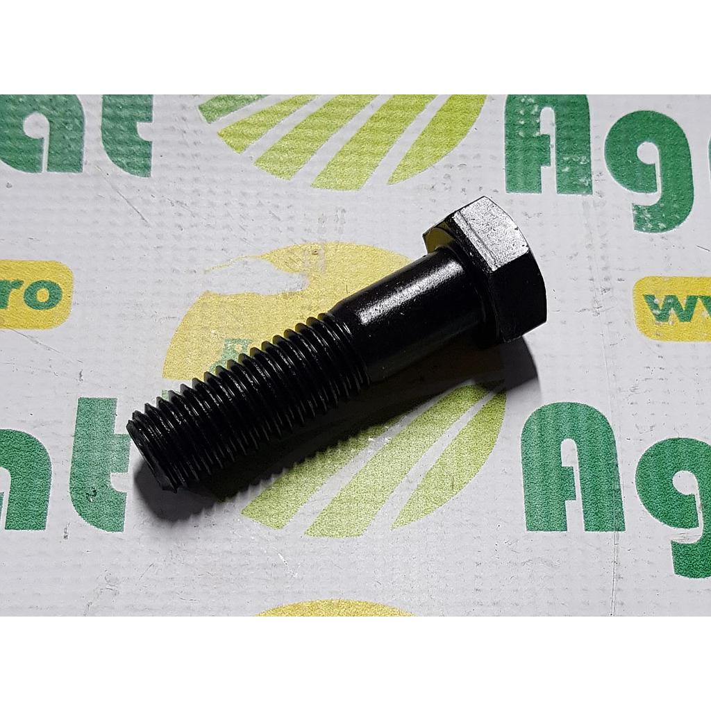 Surub Cap Hexagonal  M18x70mm