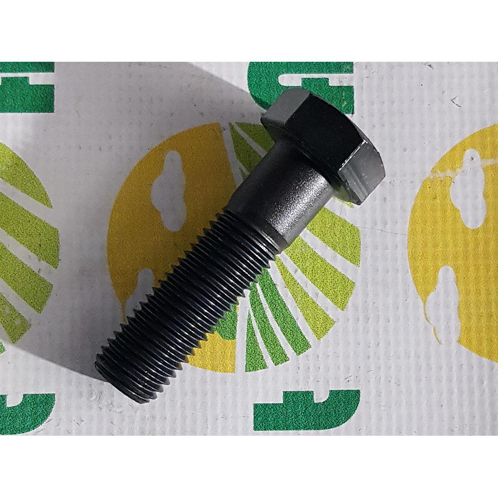 Surub cap Hexagonal  M20x75mm