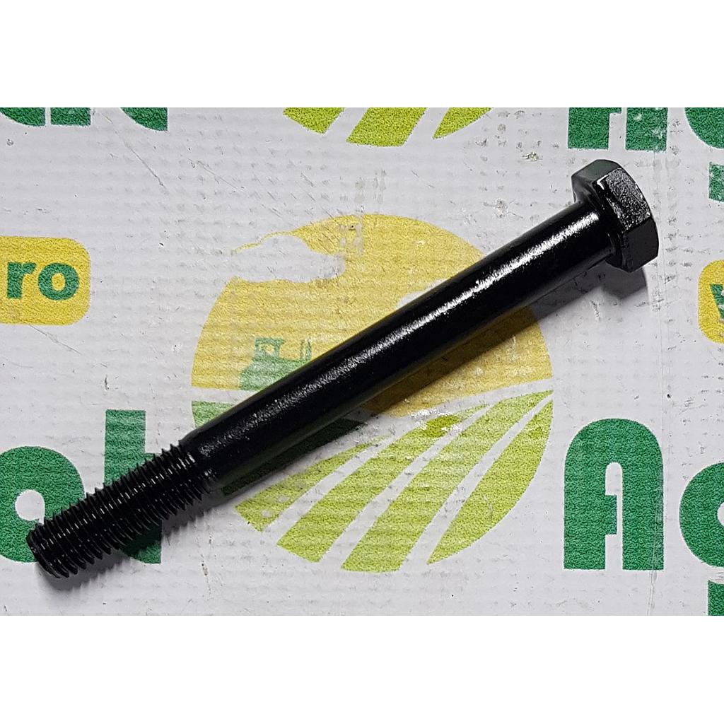 Surub Cap Hexagonal M12x120mm