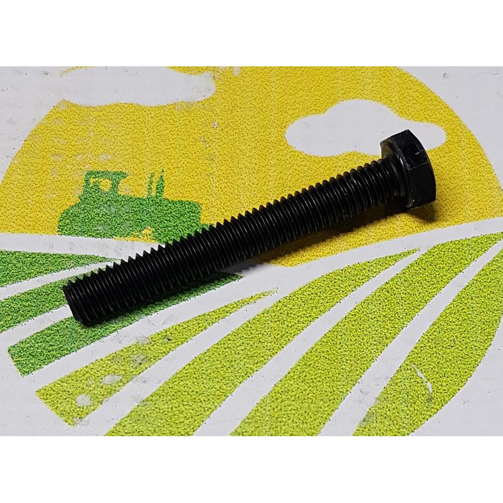 Surub Cap Hexagonal  M6x45mm