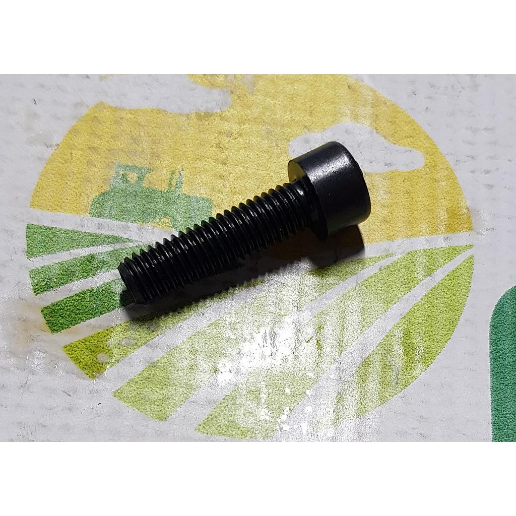 Surub Cap Cilindric M8x1,25x30mm 