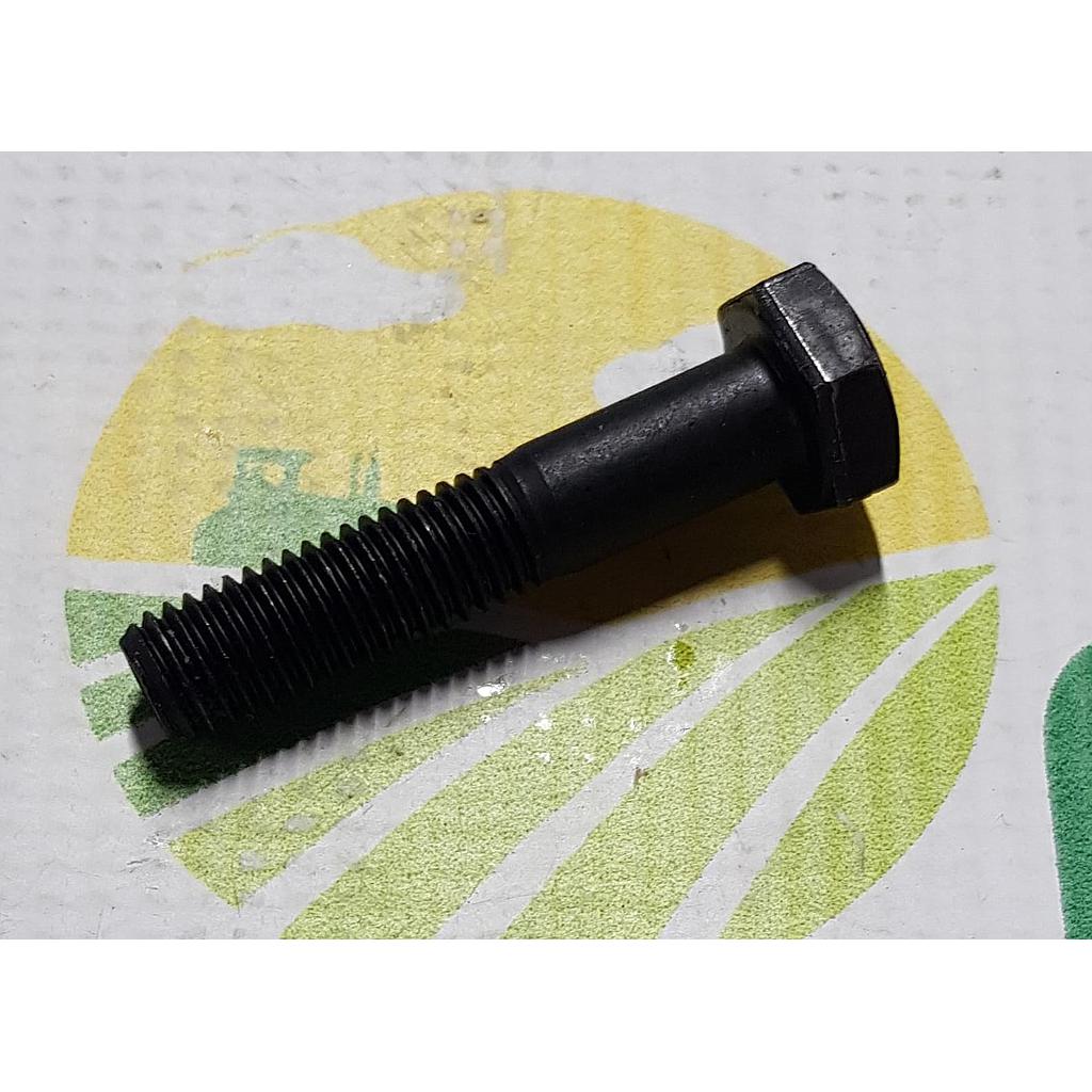 Surub Cap Hexagonal  M10x50mm