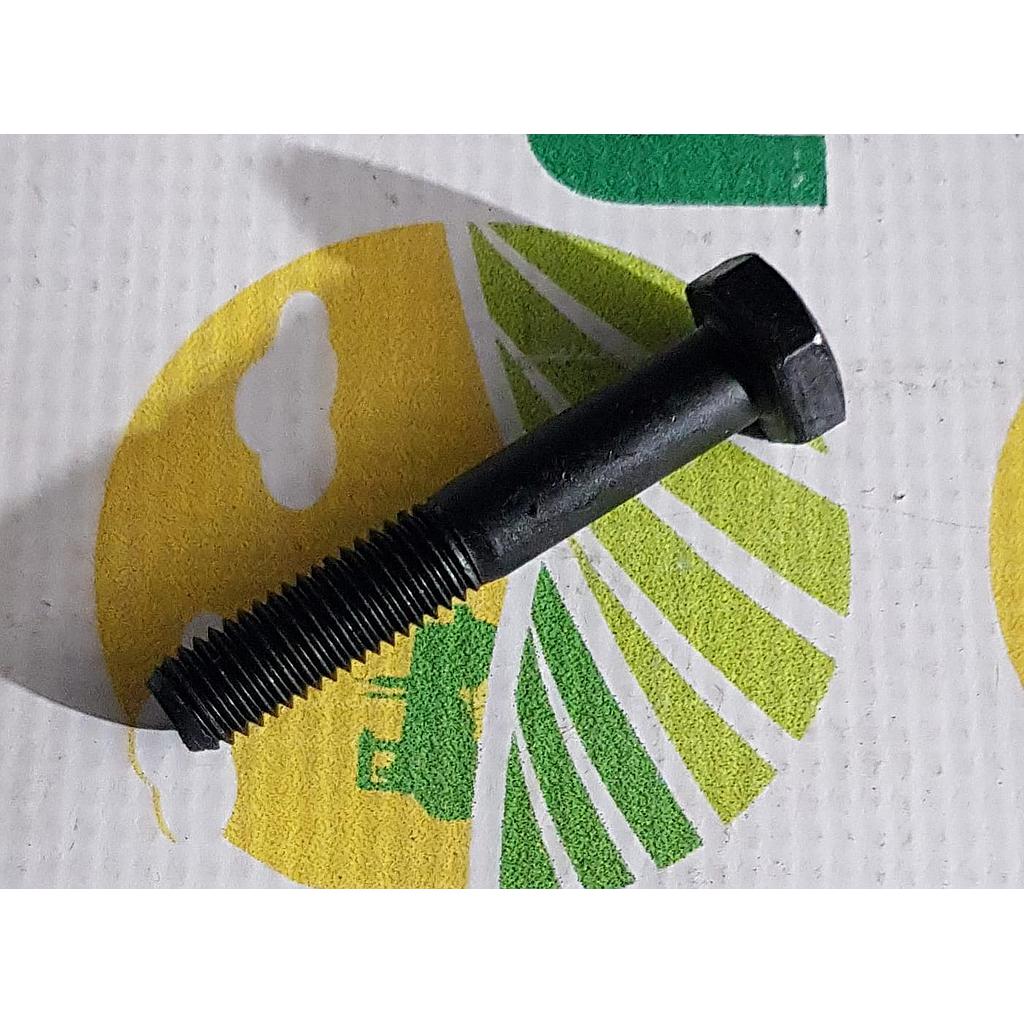 Surub Cap Hexagonal M10x60mm