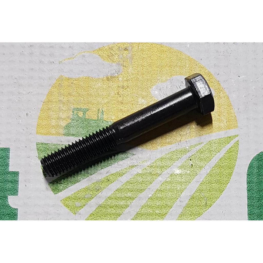 Surub Cap Hexagonal M8x55mm