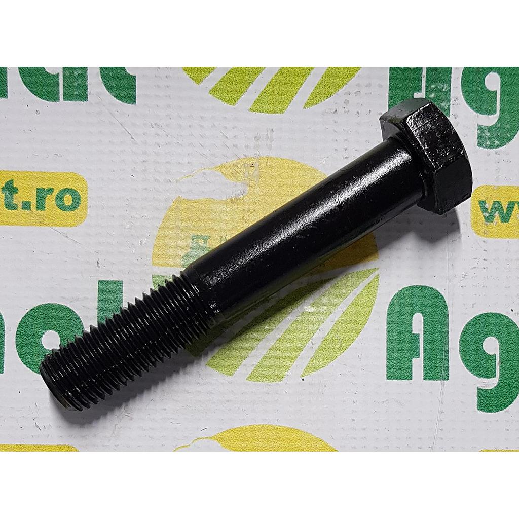 Surub cap hexagonal M20x120mm