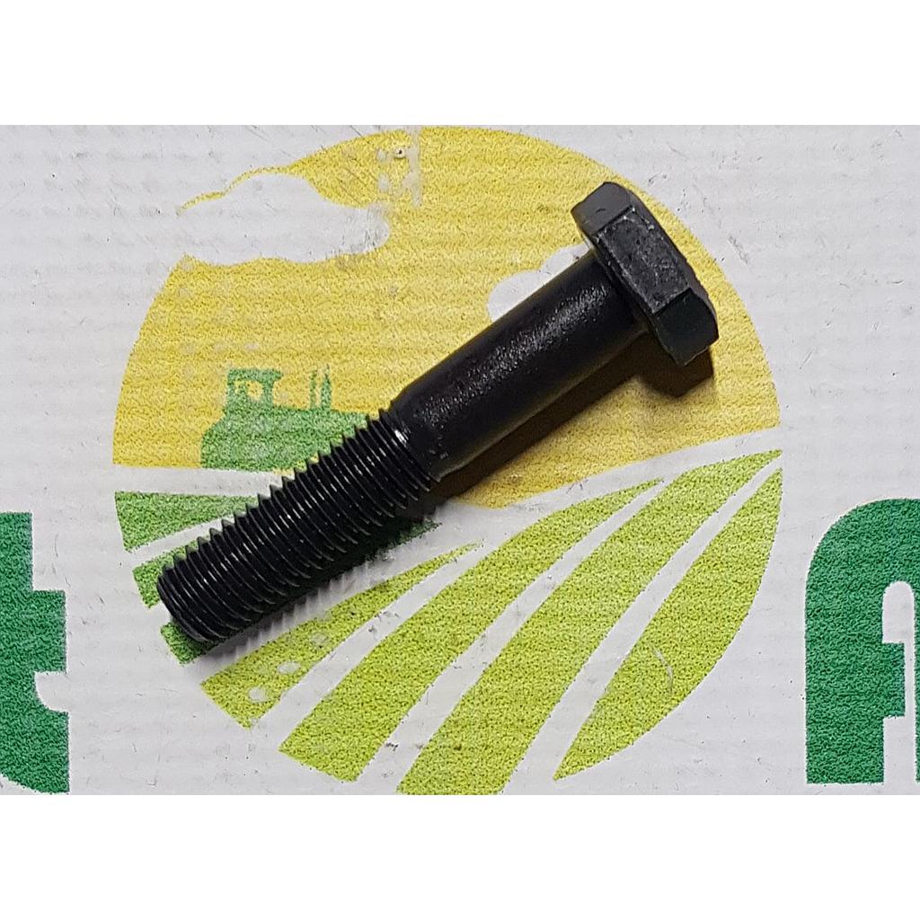 Surub Cap Hexagonal M10x55mm