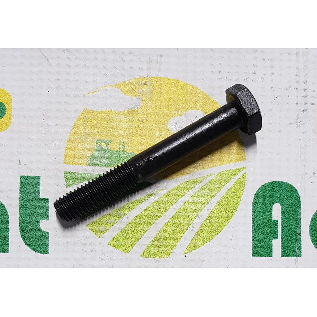 Surub Cap Hexagonal M10x75mm
