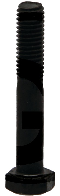 Walterscheid Șurub - M8 x 50, DIN 931