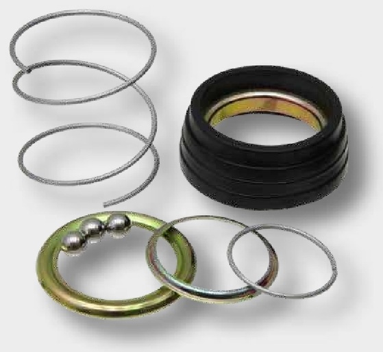 Walterscheid Set de reparatii - Agrarset 172