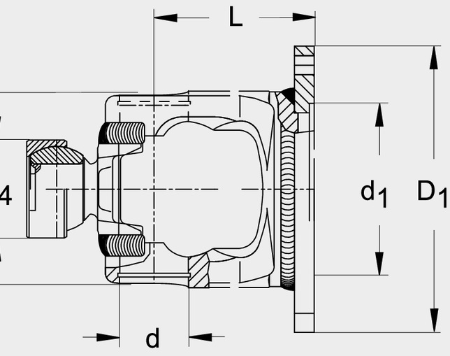 Walterscheid Butuc paleti P675