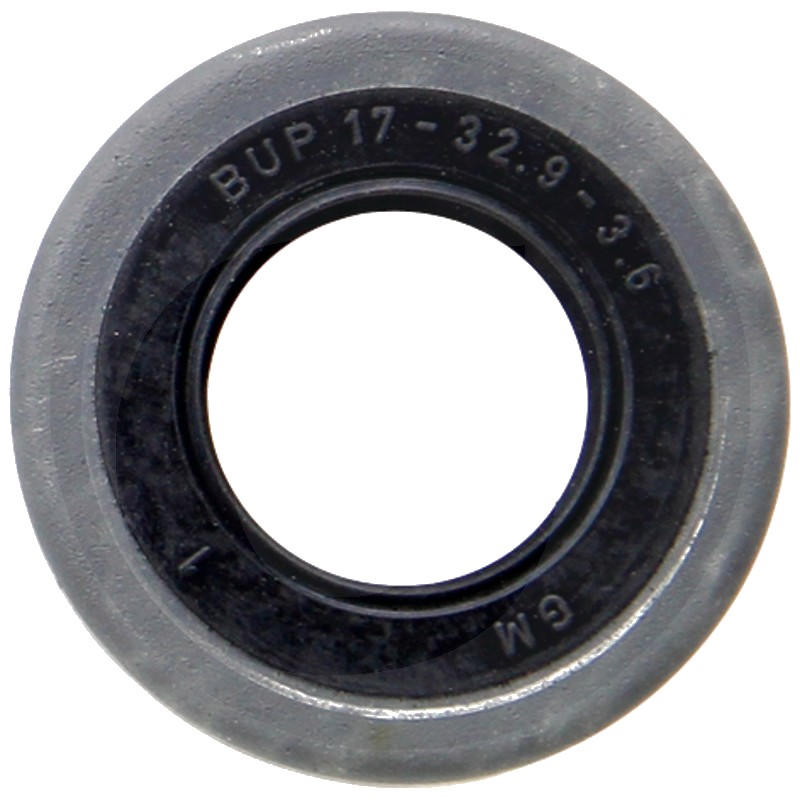 Simering 17 mm