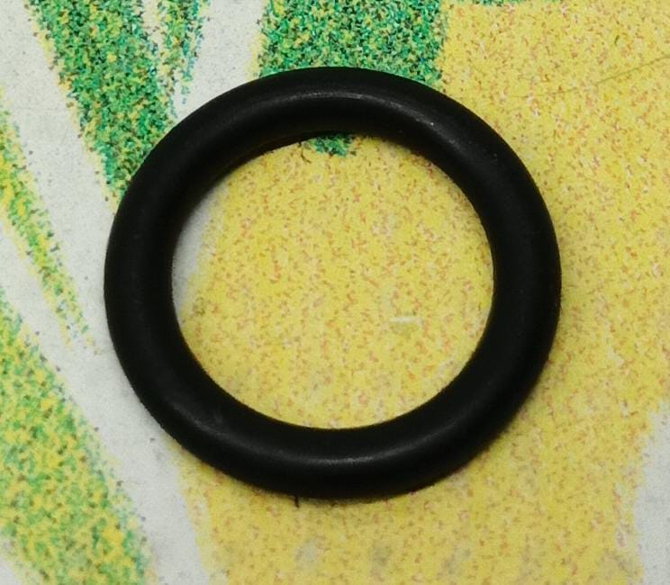 O-Ring 1000557M1