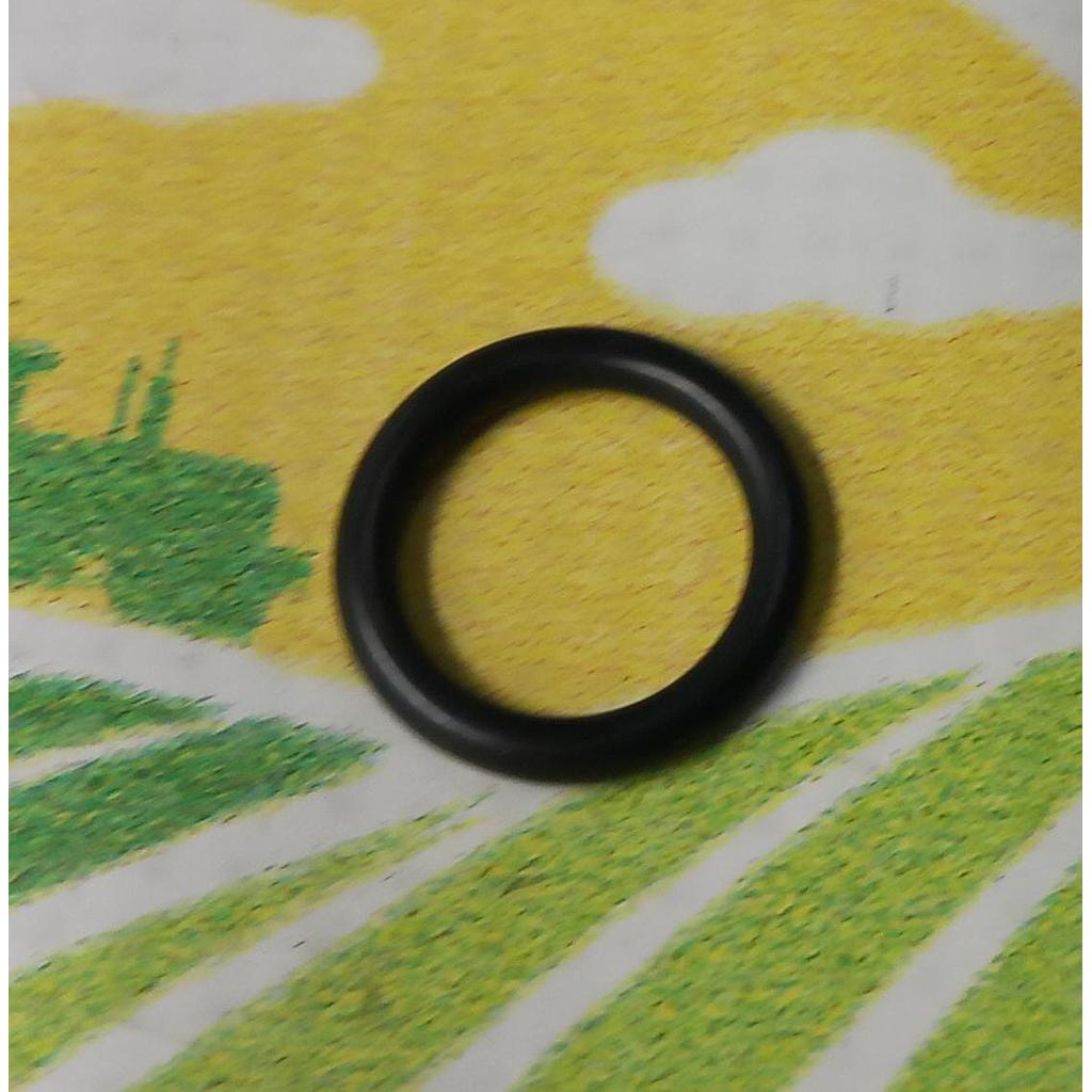 O-Ring 14457180