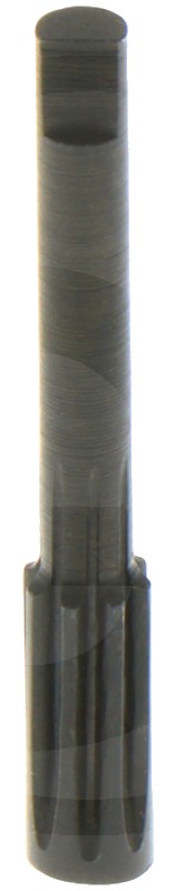 Arbore pompa ulei