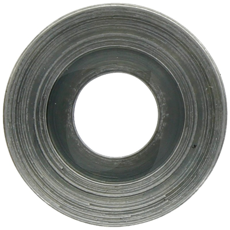 Saiba