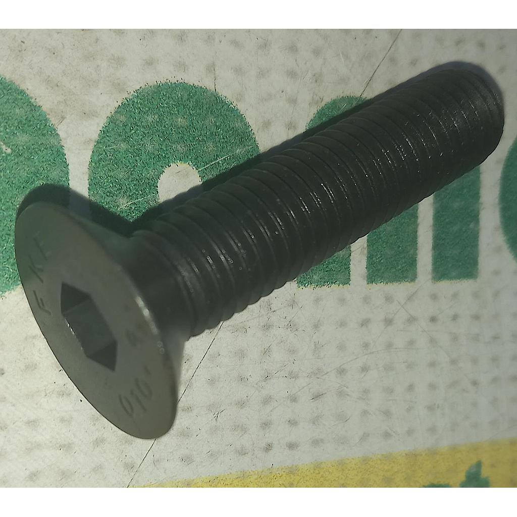 Surub cu Cap Inecat si Locas Imbus M12X55
