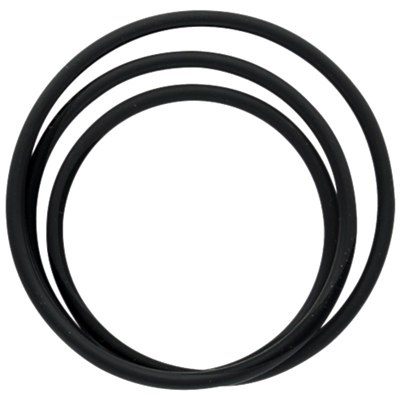 Battioni Pagani O-ring