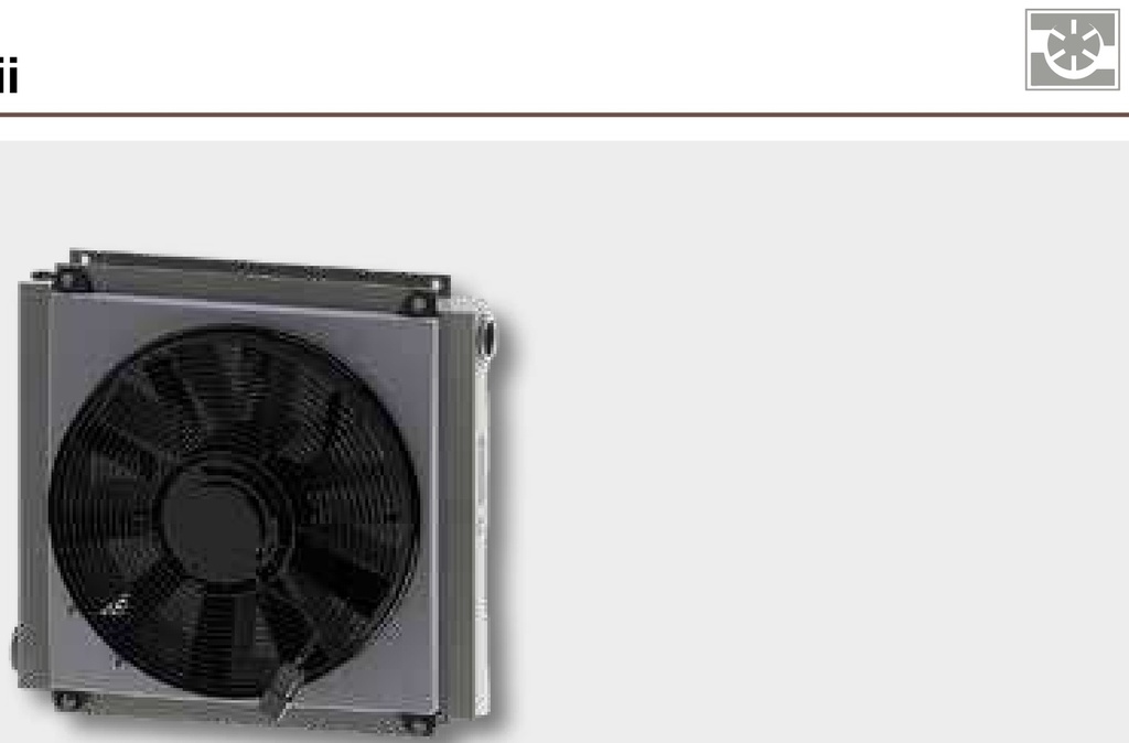 Battioni Pagani Racitor apa cu ventilator electric 12V