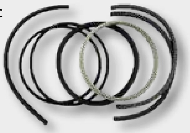 Battioni Pagani Piston disc pneumatic DW