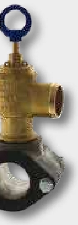 Battioni Pagani Adaptor - pentru supapa de subpresiune