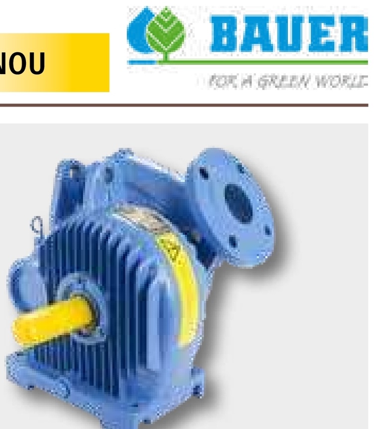 BAUER Pompă de irigare - Famos IV 80