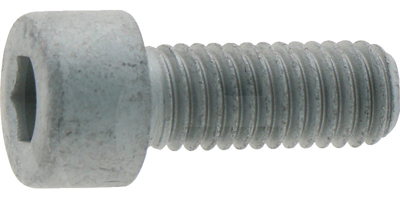 Eckart Surub cilindric - ptr E4000GLD M8 x 29