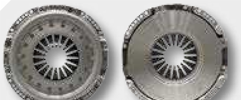 LUK Disc 310UKF - organic, rigid