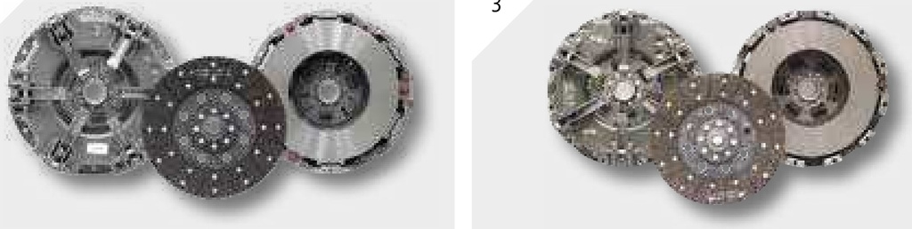 LUK Disc 300TSFA - organic arc de torsiune