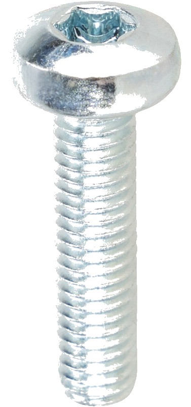 Șurub cu cap crestat M6x25 25 mm