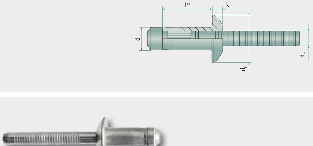 VE 250 Nituri oarbe cu cap plat 6,4x14,5 14,5 mm