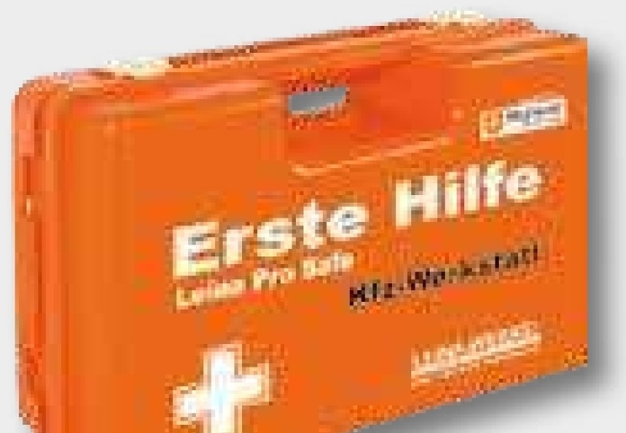 Leina Werke Trusă de prim ajutor Pro Safe 310 x 130 x 210 mm