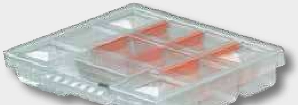 Kistenberg Cutii sortate - Plastic, cu separator detasabil
