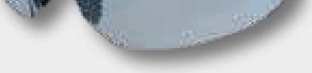 Ochelari de protectie TREAD Protecția ochilor