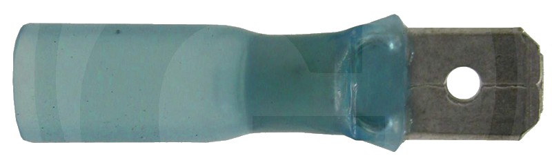 Fișă plată