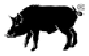Keiler Fit Orange Manusi Manusi forestiere