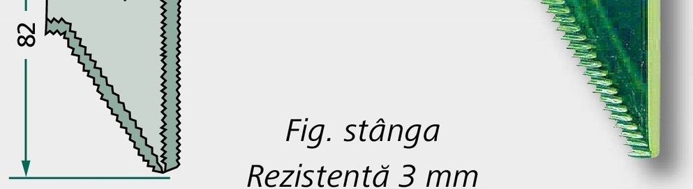 Lama - stanga, sus zimtat
