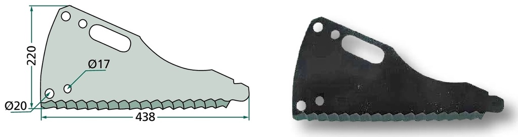 Cutite
