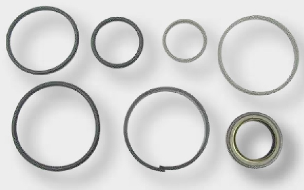 Set de etansare - ptr cilindru absorbtie stanga