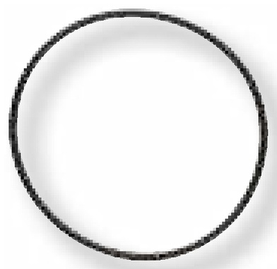 ZF O-ring - pentru comutator de sarcina carcasa supapa