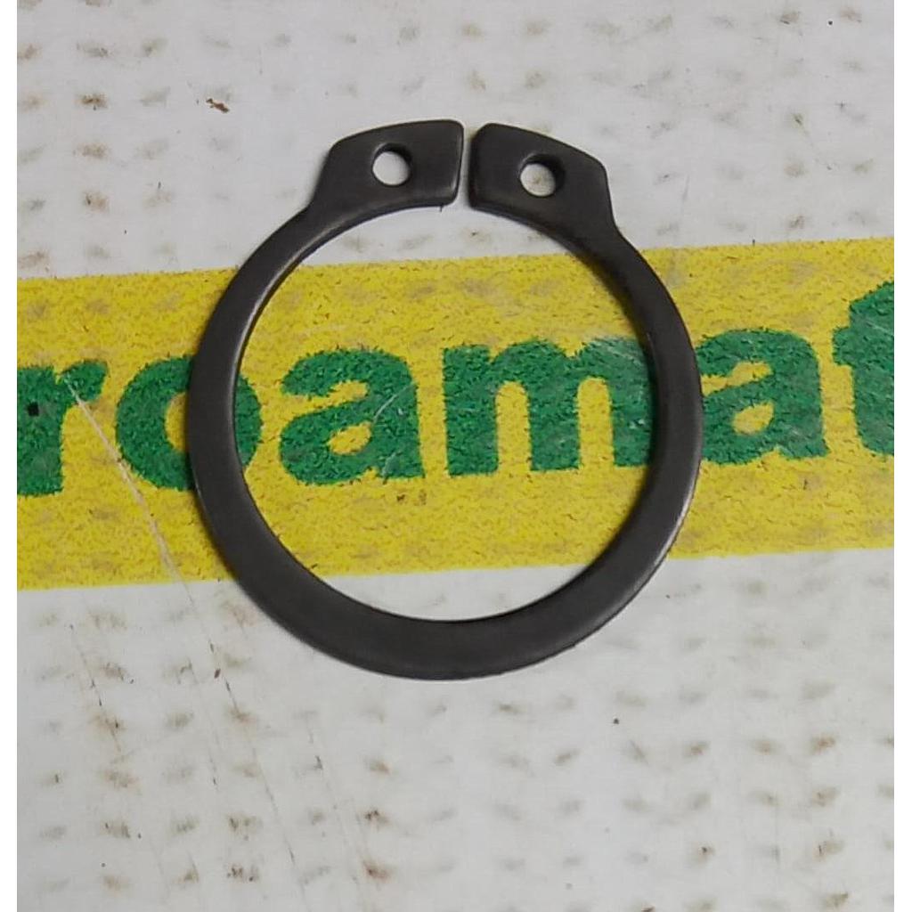 Siguranta R113981 