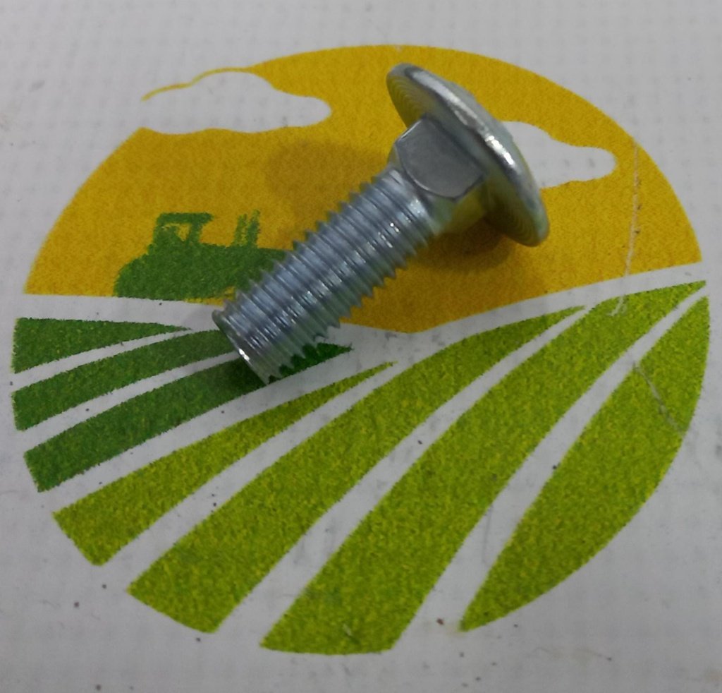 Surub cap bombat gat patrat M10x30mm