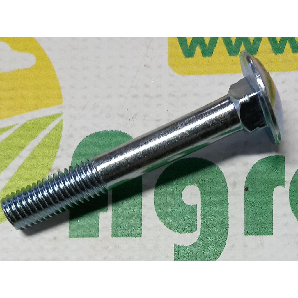 Surub Cap Bombat Gat Patrat M10x70mm