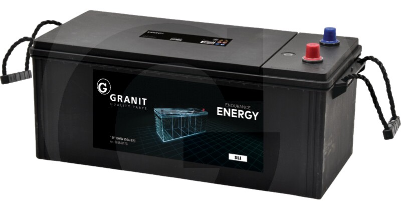 ENDURANCE ENERGY Baterie 12 V / 160 Ah - Baterie de calciu - calciu, 12 volti, 160Ah, curent de pornire la rece 950 AEN